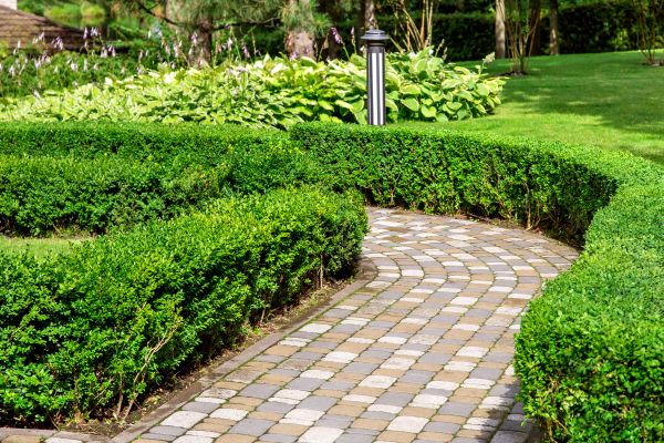 Cost of Paved Landscaping in Orange