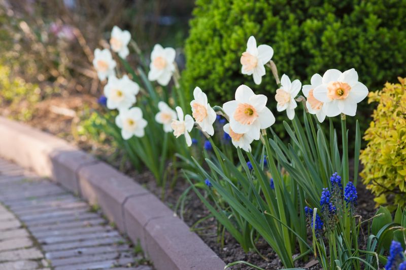 Pavers with Decorative Borders