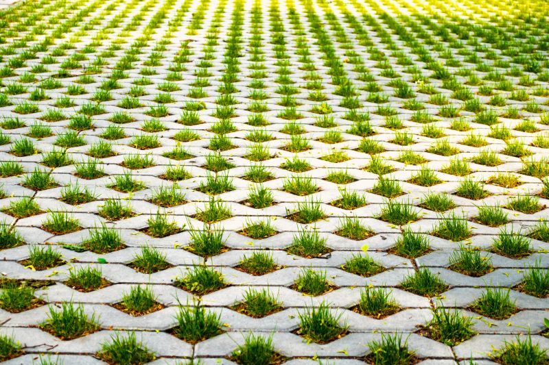 Permeable Concrete Paving